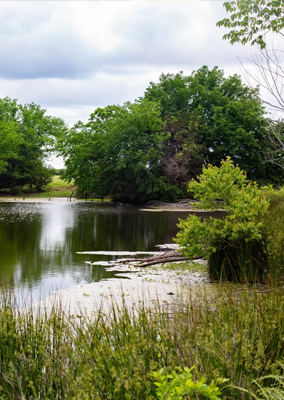 Peaceful RV sites surrounded by trees at Queen & Duke RV Resort in Whitesboro, Texas